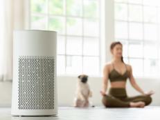 Air purifier in cozy white Living room for filter and cleaning removing dust PM2.5 HEPA at home with woman exercise yoga with dog in background,for fresh air and healthy life,Air Pollution Concept
