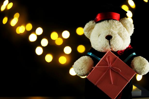Cute teddy bear holding a gift box.