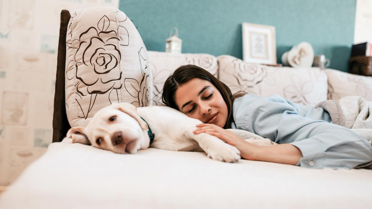 Image tagged in sleeping dog,i bet he's thinking about other women