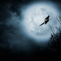 Night flight. Witch riding a broom.