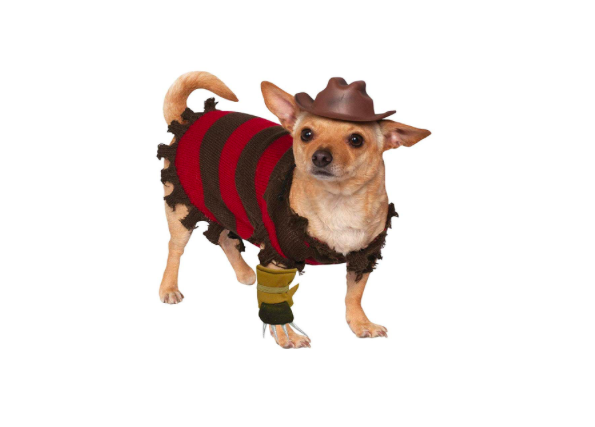 Pretty As A Peacock Dog Costume