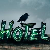 Image of a black crow on top of a crummy neon sign of a hotel at twilight.