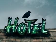 Image of a black crow on top of a crummy neon sign of a hotel at twilight.
