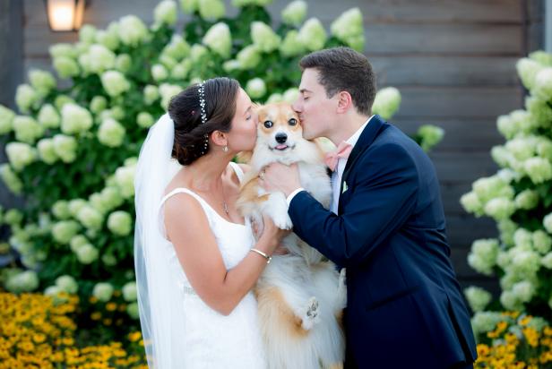 how do you have a dog at your wedding
