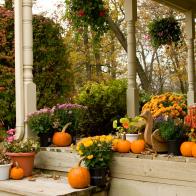 "Mums, pumpkins and fall foliage on front porch"