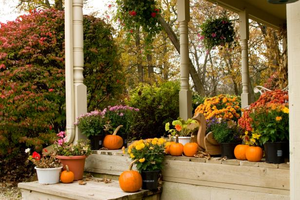 "Mums, pumpkins and fall foliage on front porch"