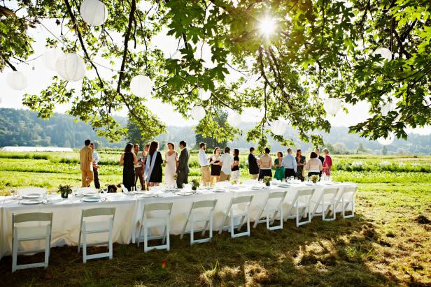 Wedding party having appetizers and drinks beside banquet table in field under tree