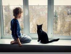 Little boy and cat looking through window