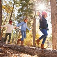 Children Having Fun And Balancing On Tree In Fall Woodland