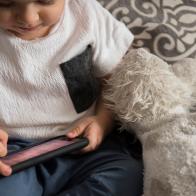 Caucasian boy playing with cell phone