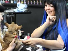Lexi Martone applying nail polish to client Rula’s dog.