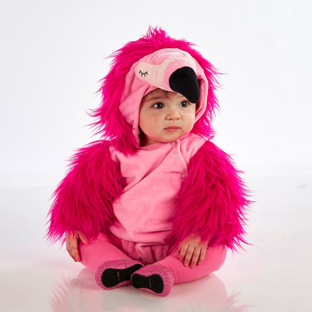 target baby flamingo costume
