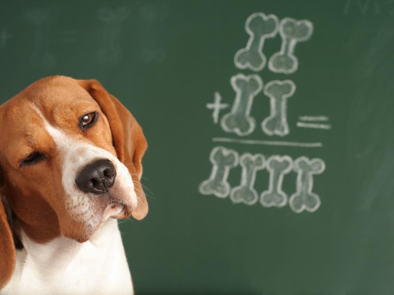 10 Essential Back to School Supplies Every Teacher Needs - 2 Peas and a Dog