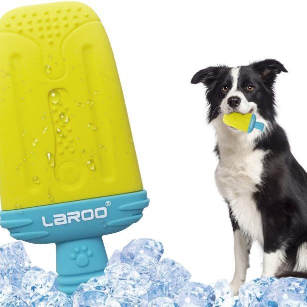 Cool Pup Popsicle Freeze Dog Toy, Blue, Large