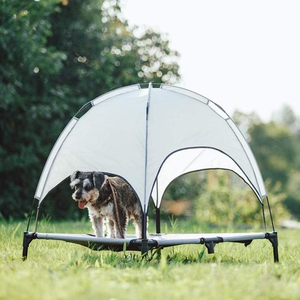 Superjare outdoor outlet dog bed