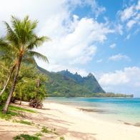 Beautiful Tunnels Beach vacation destination with palm trees and blue sky in Haena, Kauai, Hawaii.