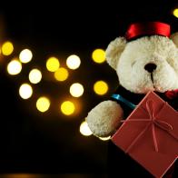 Cute teddy bear holding a gift box.