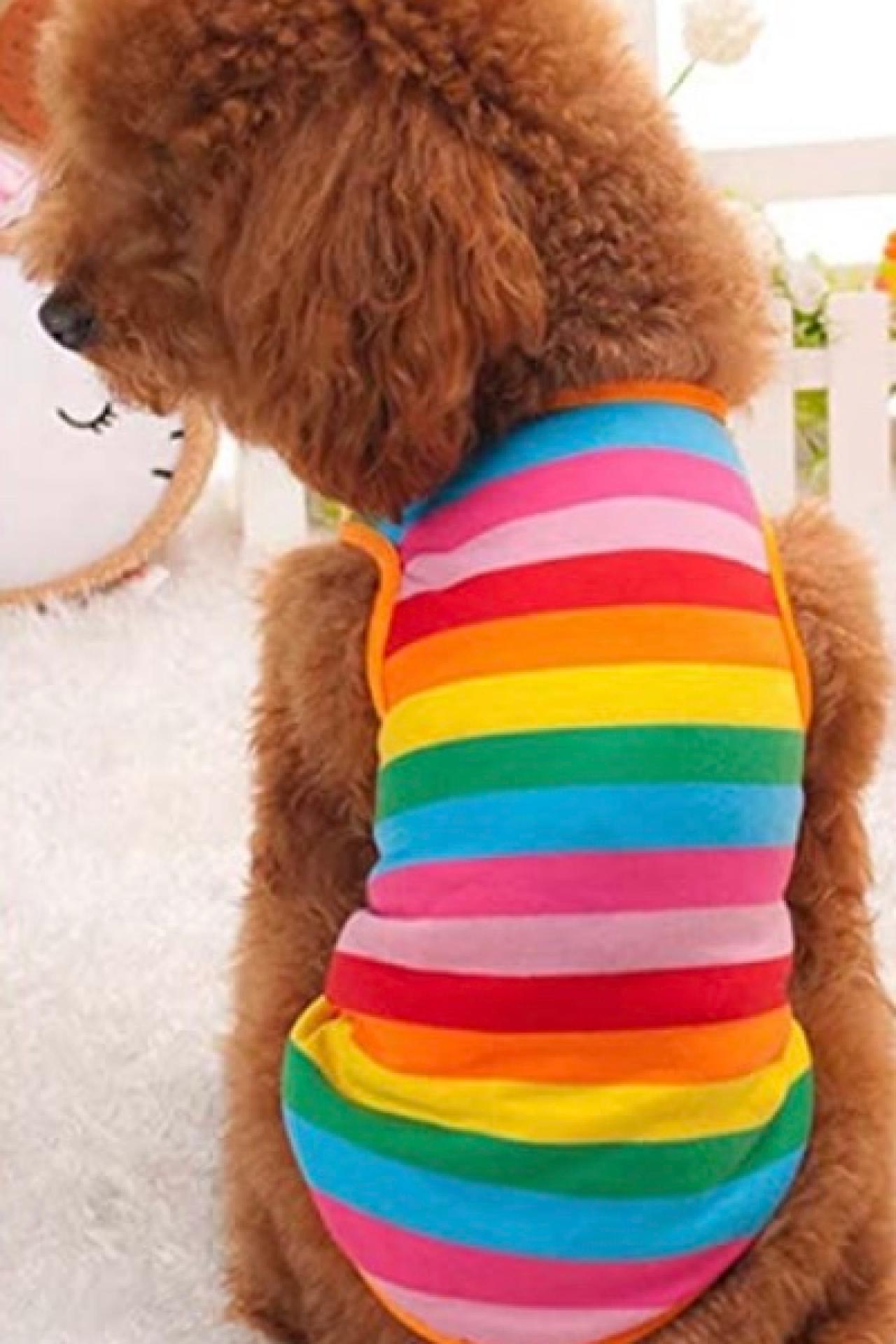  Puppy Shirt Cat Dog Rainbow Pet Winter Clothes