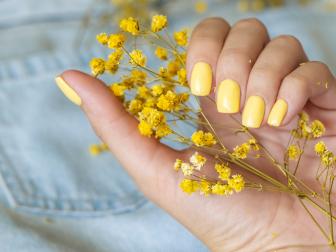 Beautiful woman's nails with beautiful manicure. studio shot