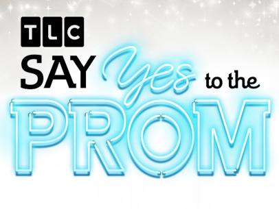 About Say Yes to the Prom