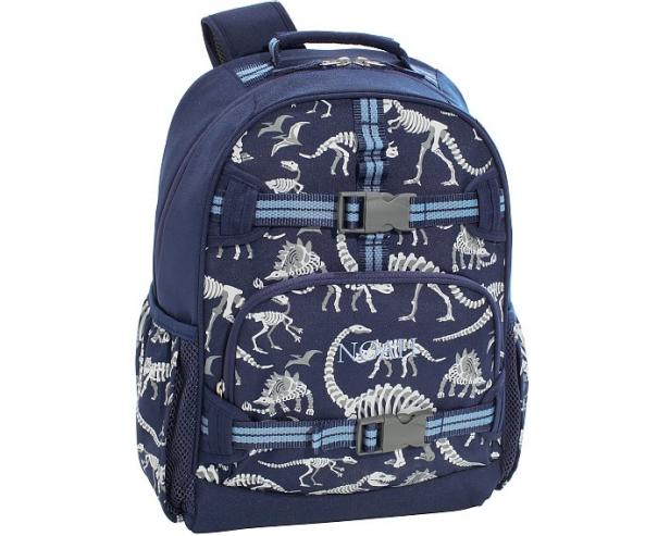 https://tlc.sndimg.com/content/dam/images/tlc/tlcme/fullset/2022/july/rx_mackenzie-navy-dino-bones-glow-in-the-dark-backpacks.jpg.rend.hgtvcom.616.493.suffix/1658847633017.jpeg