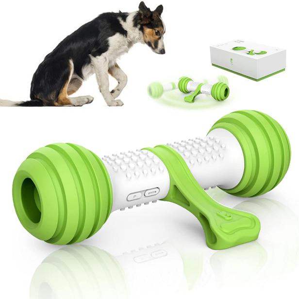 Keep Your Dog Active With This Must-Have Fitness Gear