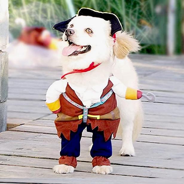 Shop the 11 Best Halloween Costumes for Dogs
