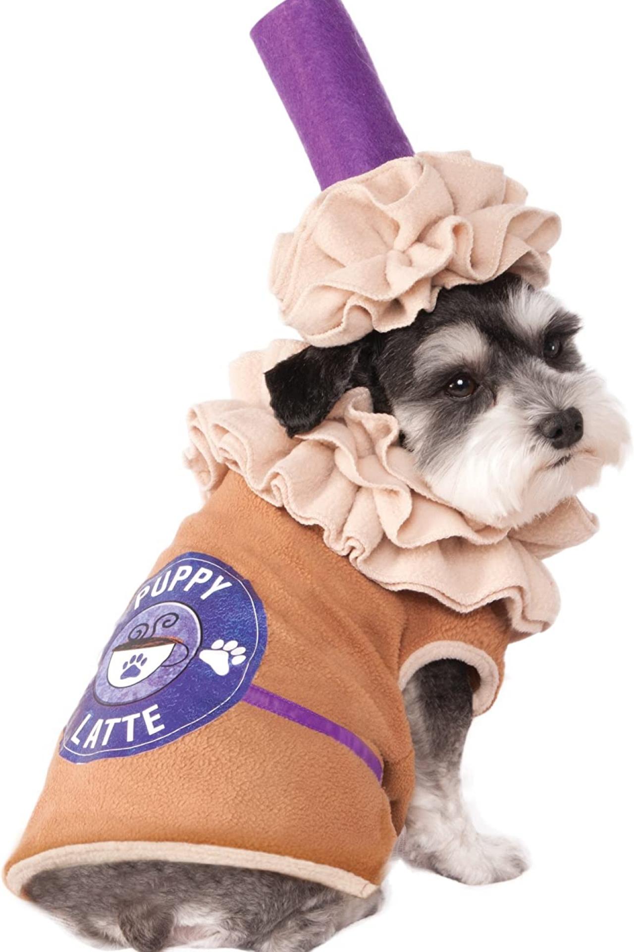 https://tlc.sndimg.com/content/dam/images/tlc/tlcme/fullset/2022/september/RX_puppy-latte-dog-costume.jpg.rend.hgtvcom.1280.1920.suffix/1664900829429.jpeg