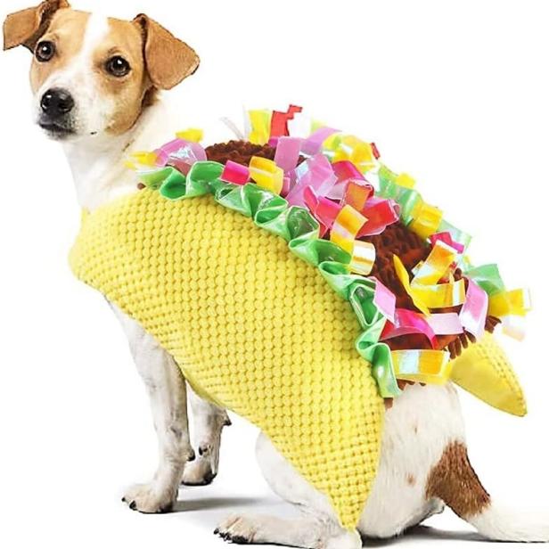 Dog Halloween Costumes | Stuff We Love | TLC.com