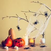 Home made Halloween decorations with branch, spiders, web, candles and pumpkins. Vintage toning. Idea for interior design.