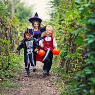 Three happy kids running during halloween. The boys aged 6 are dressed up as skeleton pirate and vampire. The girl aged 9 is dressed up as witch. The kids are running between fences with halloween candy buckets.
