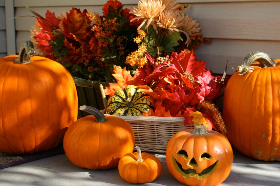 Pumpkin Decorating Must-Haves