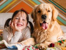 Young girl playing with dog on a bed