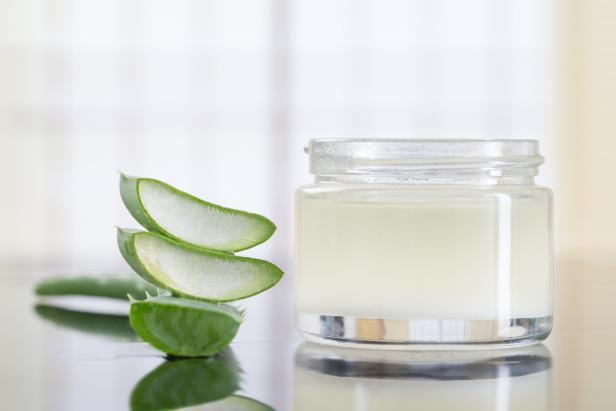 Aloe Vera. (Photo by:  BSIP/Universal Images Group via Getty Images)