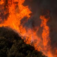 MALIBU, CA - NOVEMBER 09: Wind-driven flames move across Malibu Creek State Park during the Woolsey Fire on November 9, 2018 near Malibu, California. After a experiencing a mass shooting, residents Thousand Oaks are threatened by the ignition of two nearby dangerous wildfires, including the Woolsey Fire which has reached the Pacific Coast at Malibu.   (Photo by David McNew/Getty Images)