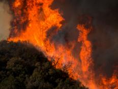 MALIBU, CA - NOVEMBER 09: Wind-driven flames move across Malibu Creek State Park during the Woolsey Fire on November 9, 2018 near Malibu, California. After a experiencing a mass shooting, residents Thousand Oaks are threatened by the ignition of two nearby dangerous wildfires, including the Woolsey Fire which has reached the Pacific Coast at Malibu.   (Photo by David McNew/Getty Images)
