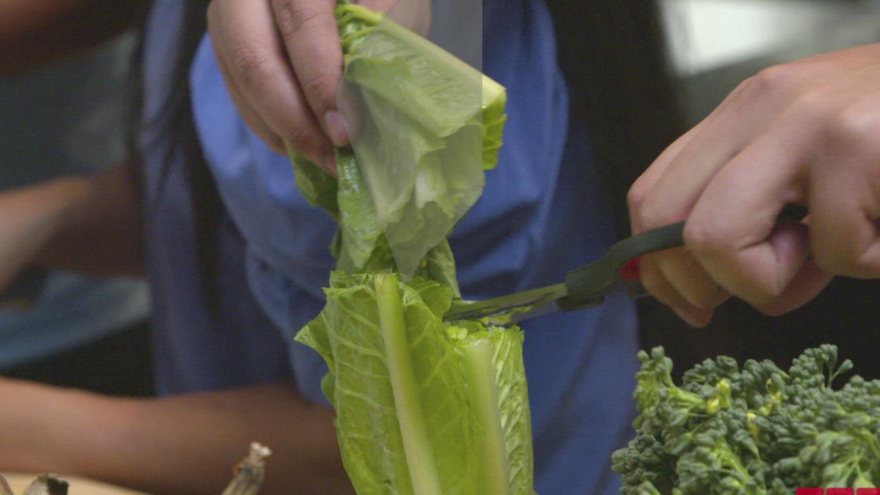 Slash Your Grocery Bill