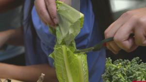 Slash Your Grocery Bill