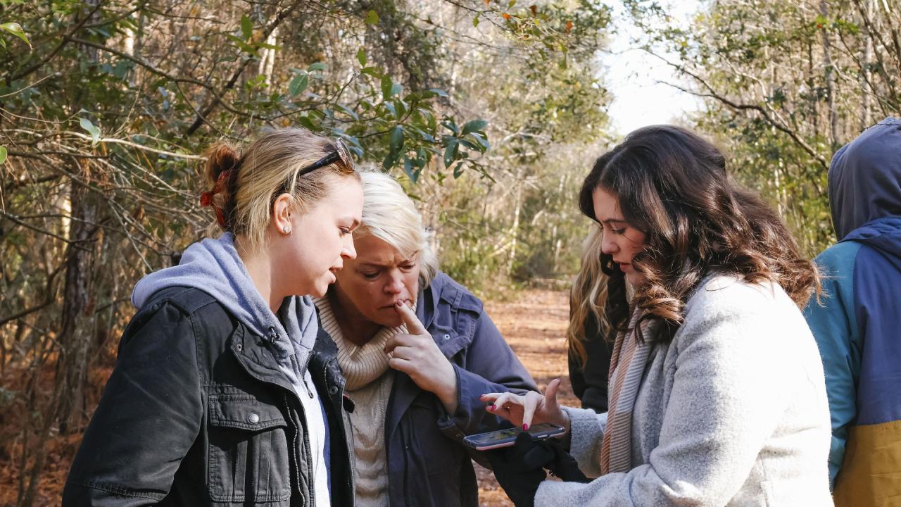 Sister Wives Recap: The Land of Milk and Honey?